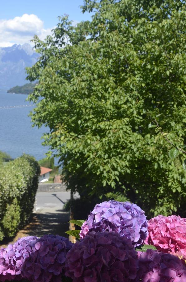 Anma Cottages The Secret Garden Pianello Del Lario Luaran gambar